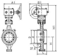 d363h手动焊接蝶阀结构图